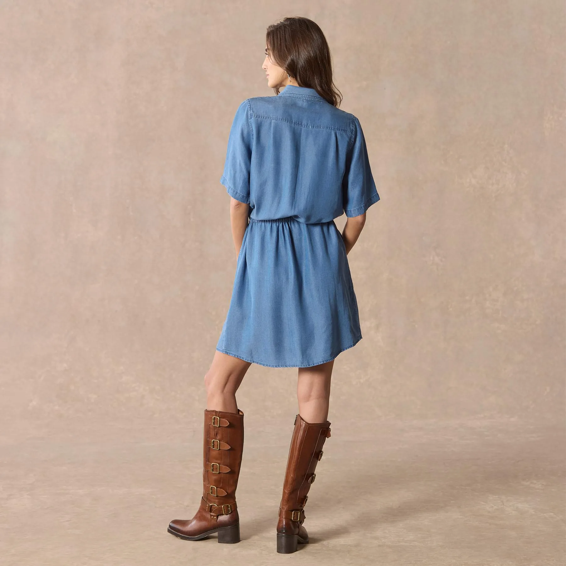 Hartford Dress, Petite